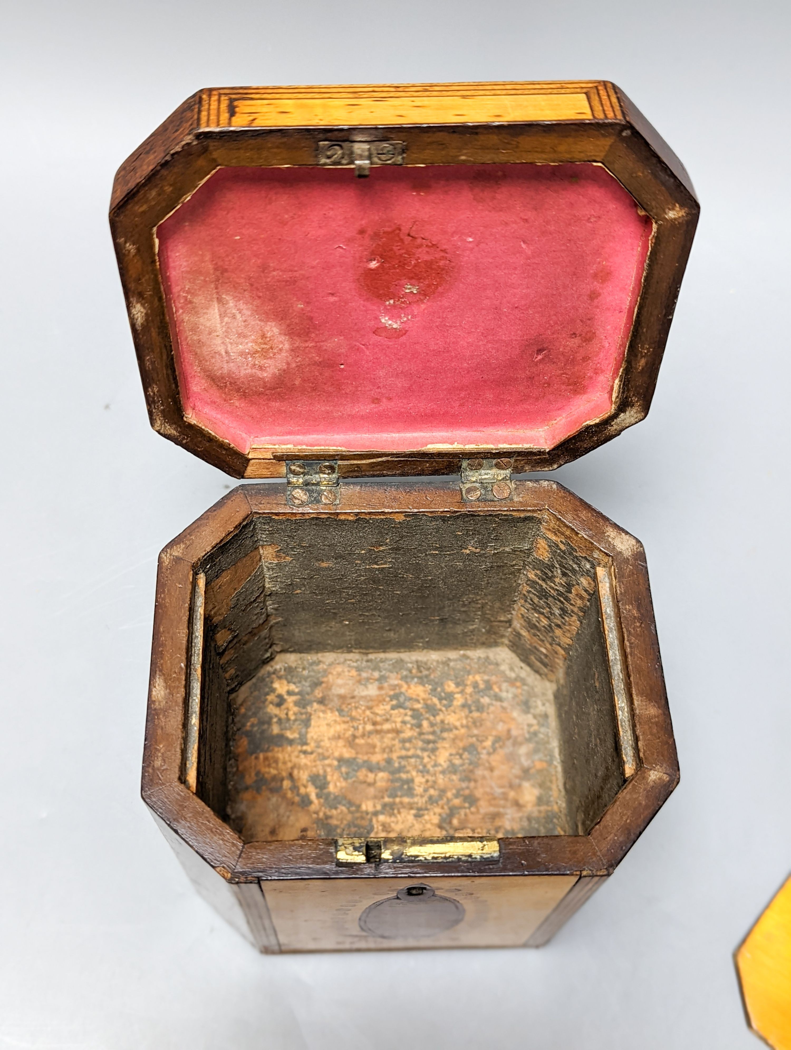 A George III octagonal sycamore and rosewood panelled tea caddy. 13cm